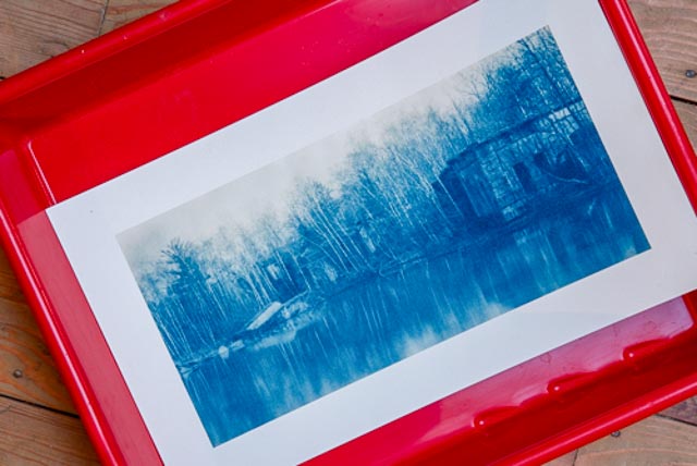 cyanotype print ontwikkeling